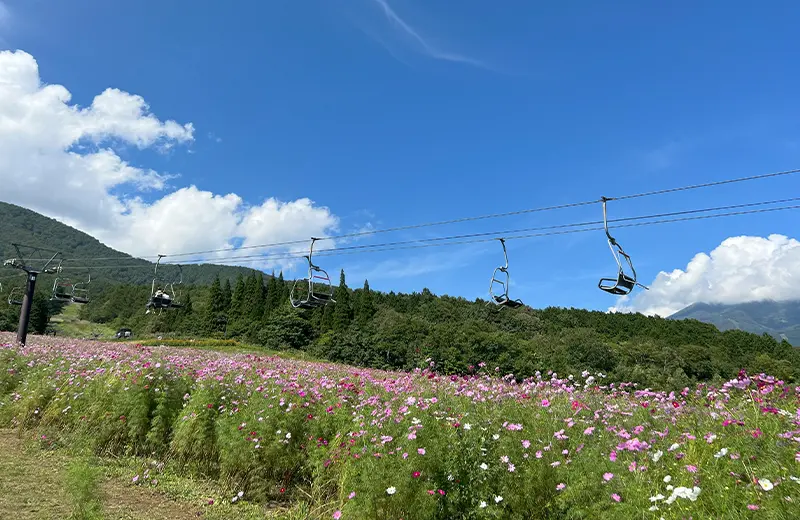 黒姫高原フラワーガーデン