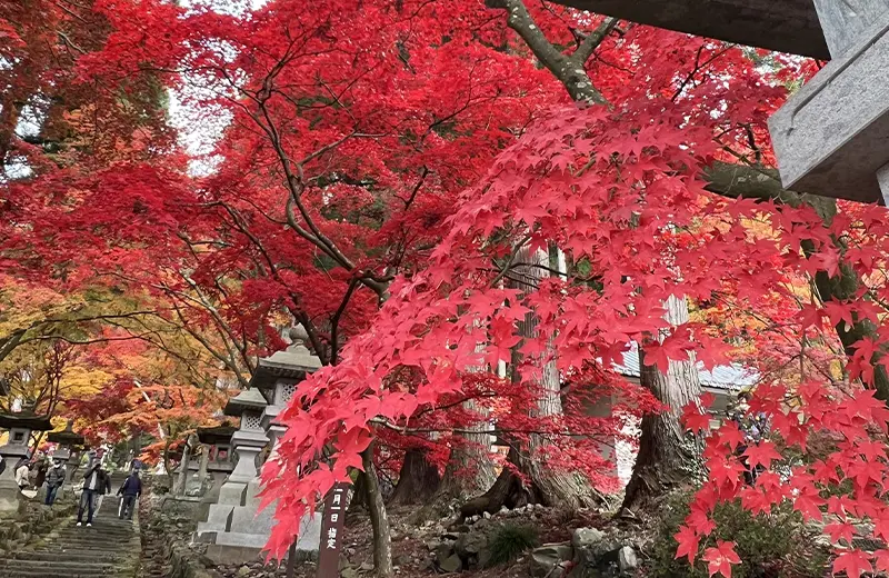 若穂清水寺の紅葉