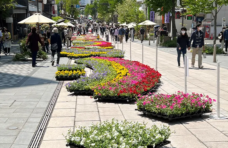 善光寺花回廊・花フェスタ